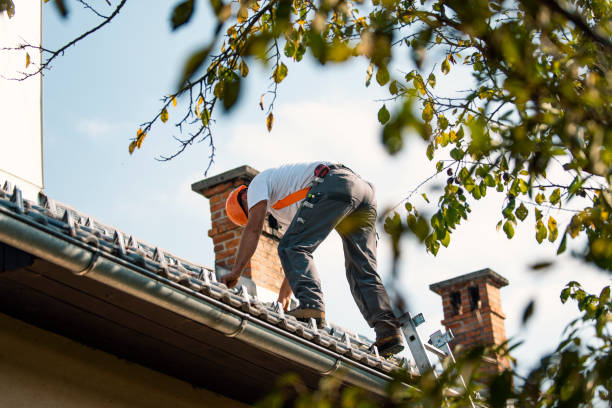 Roof Repair Estimates in Terrace Heights, WA